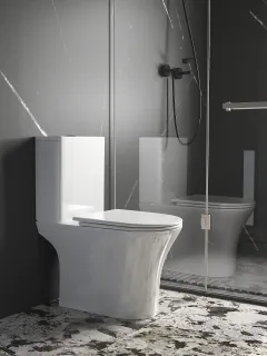 Унитаз напольный Ceruttispa BERNINA Tornado CT11133 безободковый со смывом торнадо