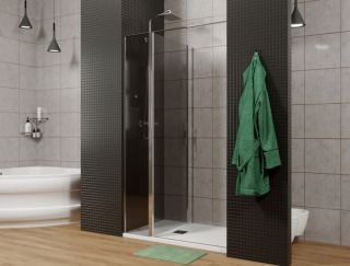 Душевая дверь Allen Brau Priority 3.31010.00G профиль хром