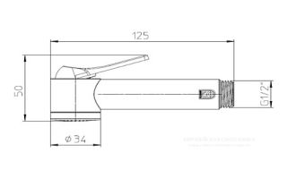 Лейка гигиеническая Bossini Apice B00920.030 хром