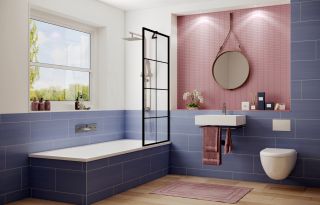 Шторка на ванну Ambassador Bath Screens 16041209 80см чёрный/прозрачное