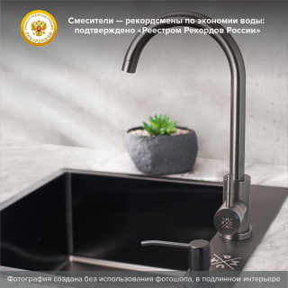 Смеситель для кухни РМС SUS124PVD-017F графит