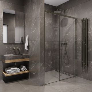 Душевая дверь в нишу Timo T48L 120 см левая никель