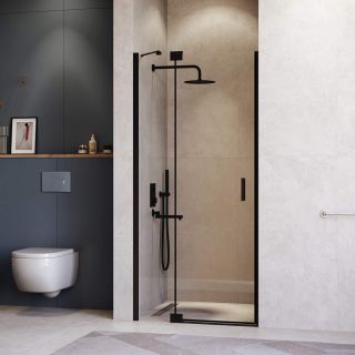 Душевая дверь RGW HO-014B 350601410-14 100см чёрный