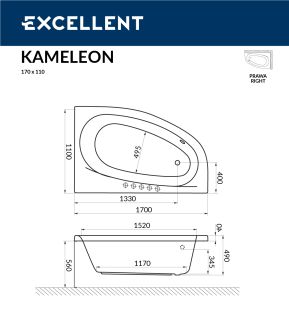 Ванна акриловая EXCELLENT Kameleon 170x110 (правая)