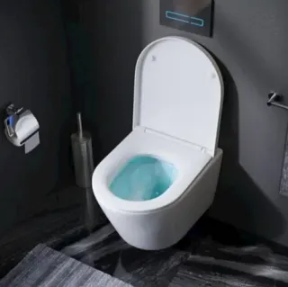 Комплект унитаза с инсталляцией AM.PM Sense IS90151.741701 сиденье микролифт