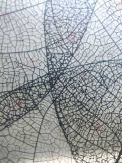 Душевая дверь в нишу AvaCan FB 160-180 MT чёрный