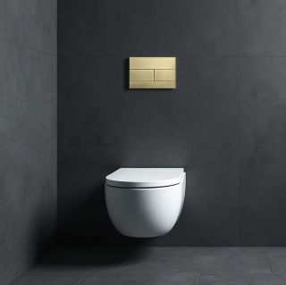 Кнопка смыва для инсталляции механическая Wonzon & Woghand WW-IB235-BG брашированное золото