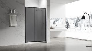 Душевая дверь Veconi Vianno VN-55BT, 1200x1950, Черный, стекло тонированное